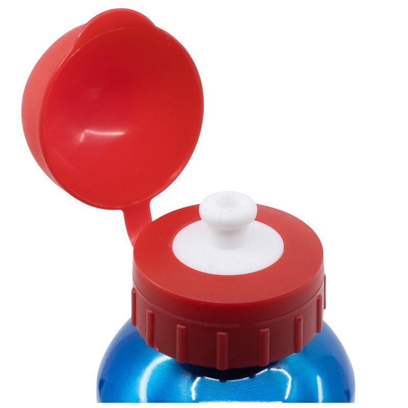 Kovová láhev Mickey Mouse Funtastic - 530 ml