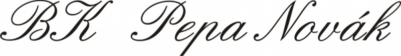 Parker Royal Vector Black -  kuličkové pero